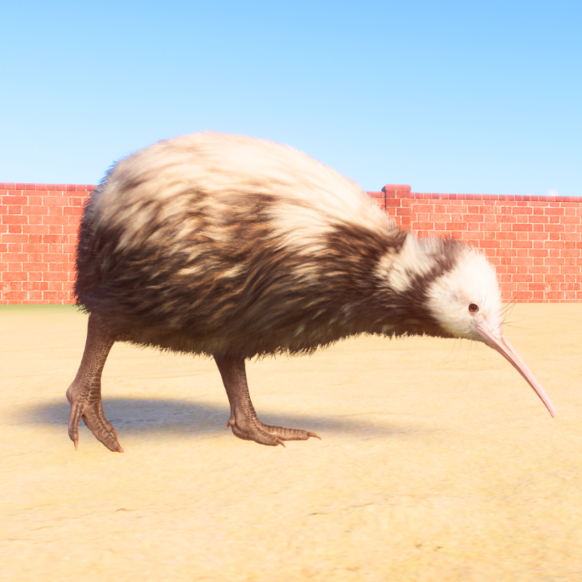 Planet Zoo Oceania: A Complete List of Animals & Colour Morphs