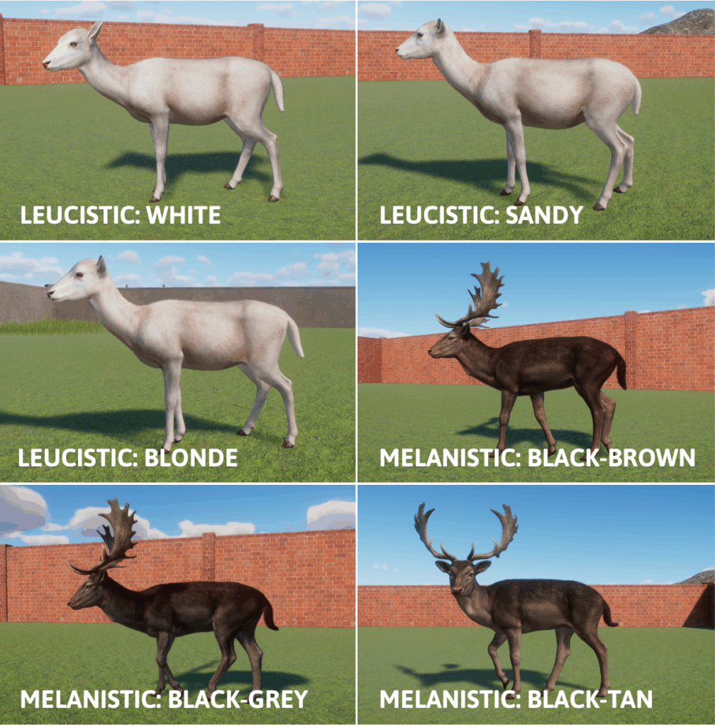 an image showing the shiny fallow deer coats, including three leucistic colours and three melanistic colours.