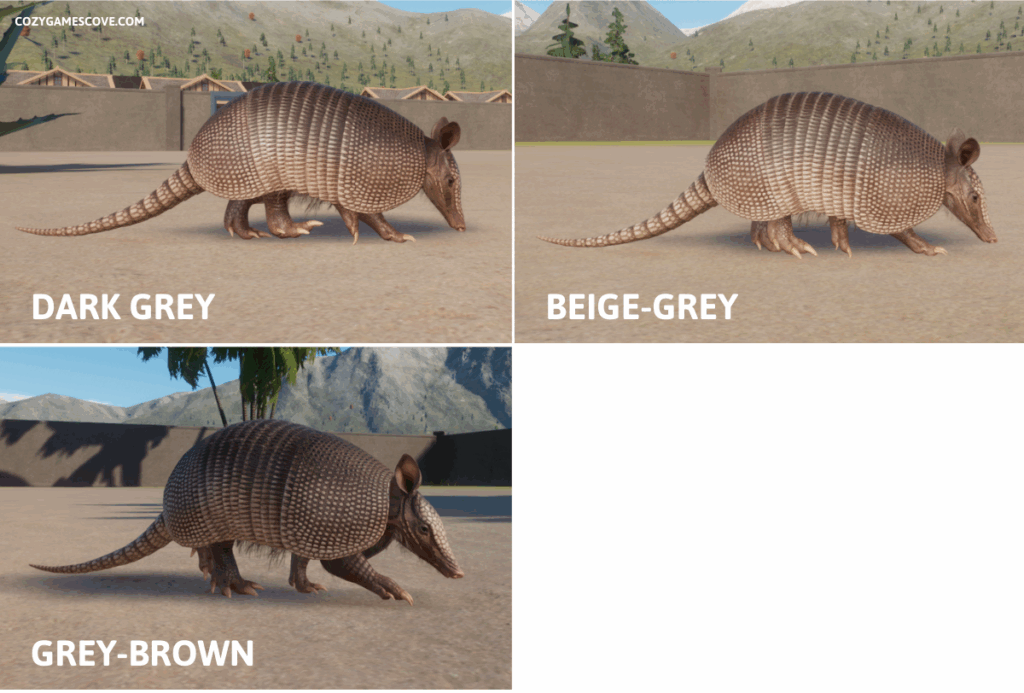 Nine-Banded Armadillo colours planet zoo