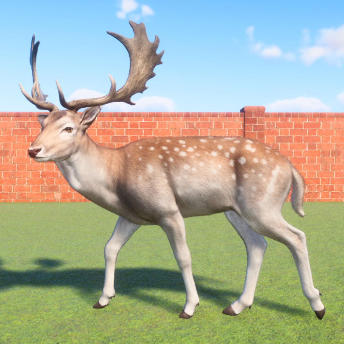 Planet Zoo Europe: Complete List of Animal Colours + Rare Colour Morphs