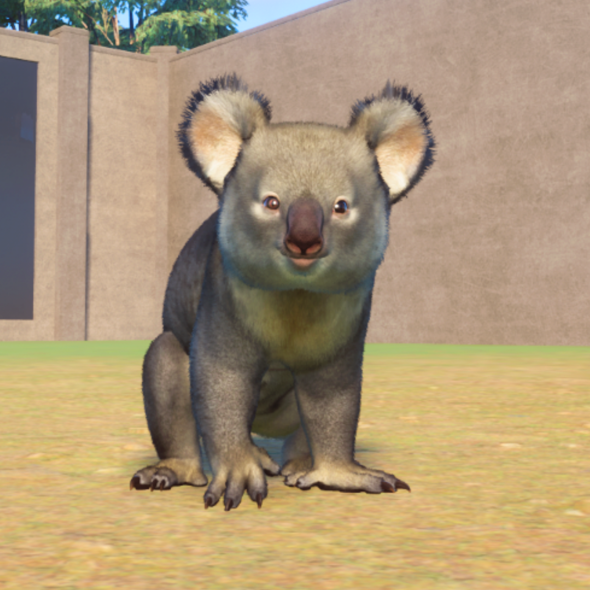Planet Zoo Australia: A Complete List of Animals & Colours