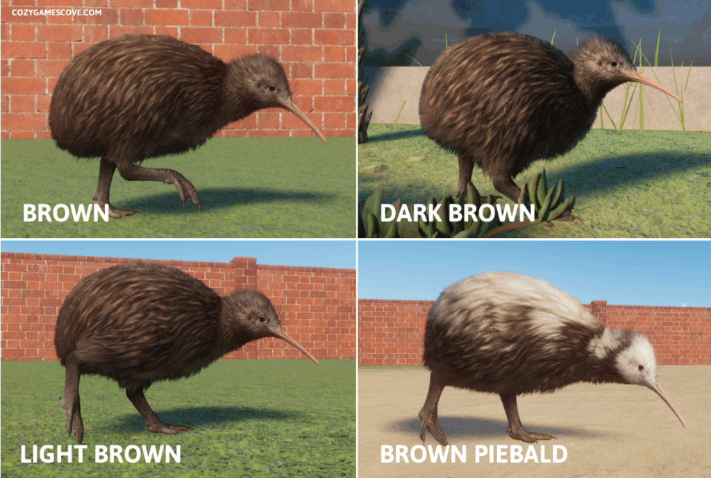 North IIsland kiwi colours Planet Zoo