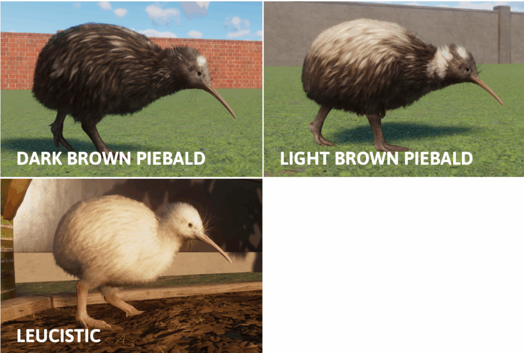 North IIsland kiwi colours Planet Zoo