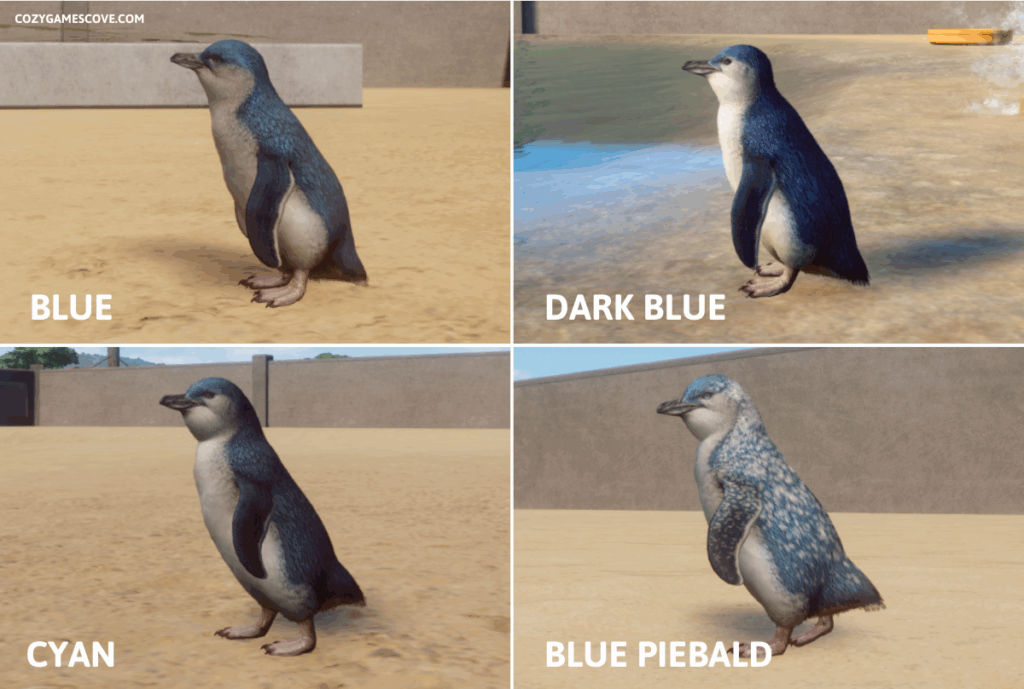 Little Penguin Colours in Planet Zoo