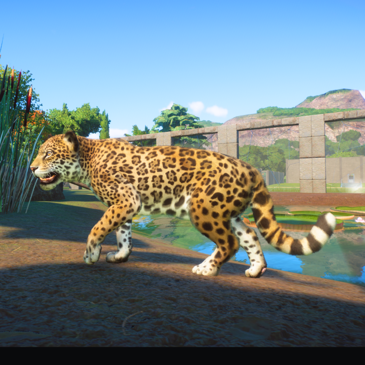 Planet Zoo South America Pack: A Complete List of Animal Colours