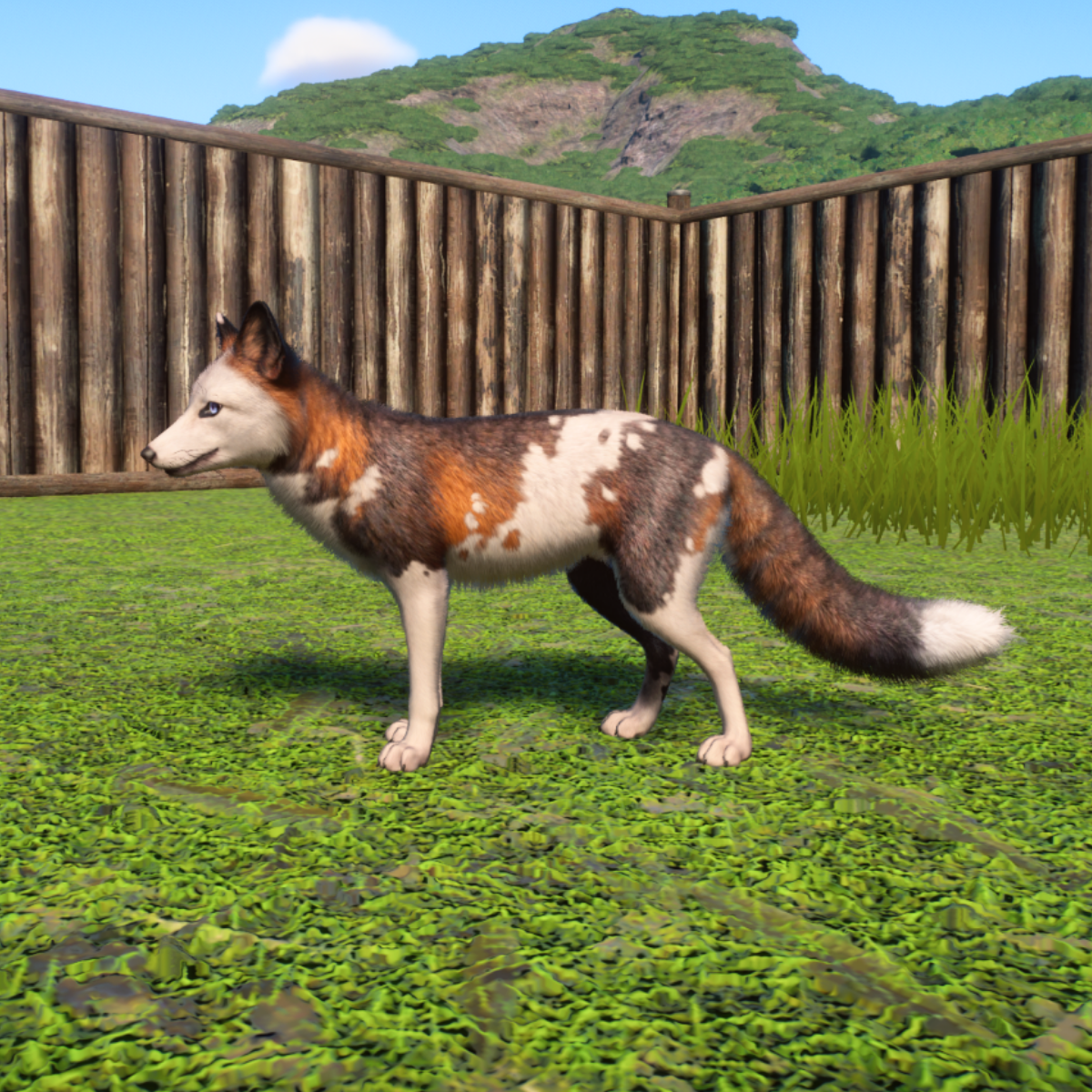 A Complete List of Animal Colours in the Planet Zoo Twilight Pack