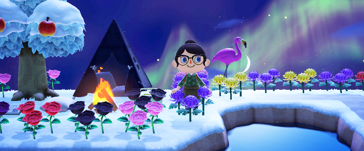 Animal Crossing: New Horizons