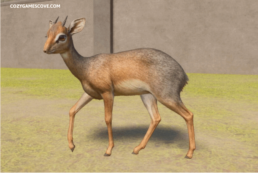 Kirk’s Dik-Dik in Planet Zoo with a brown fur