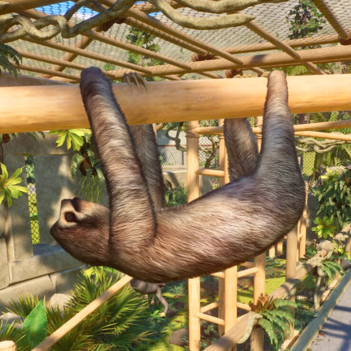 Planet Zoo Tropical Pack: A Complete List of Animals & Colours