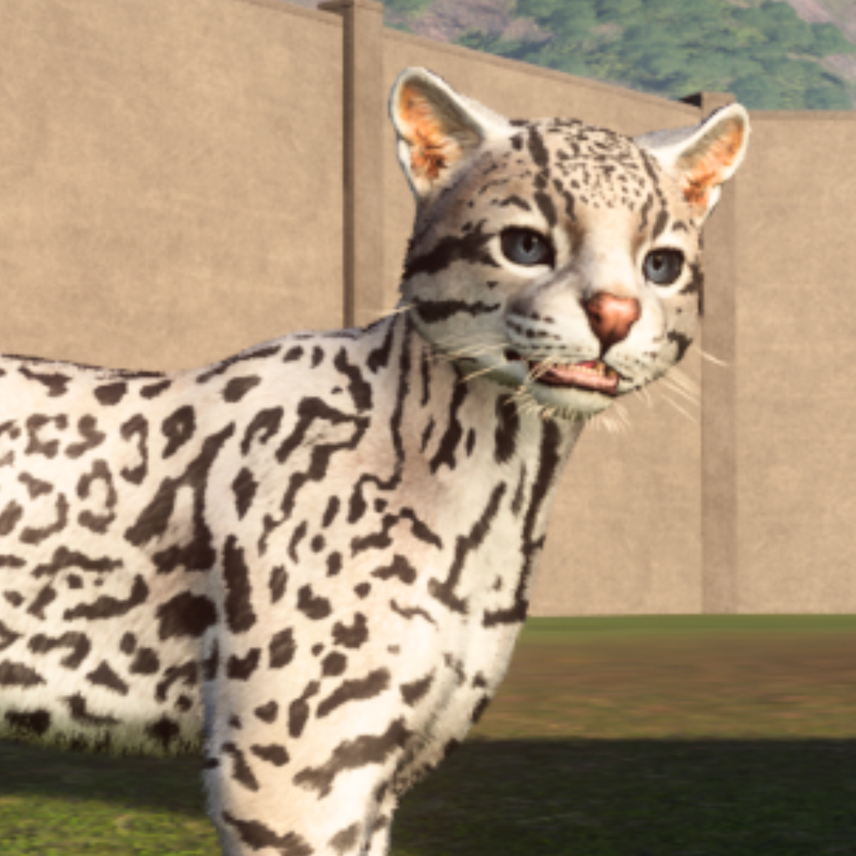 All Planet Zoo Americas Animal Pack Colour Morphs: Common & Rare