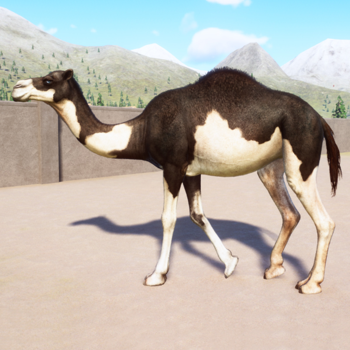 A Complete List of Animals & Colours in the Planet Zoo Arid Animal Pack
