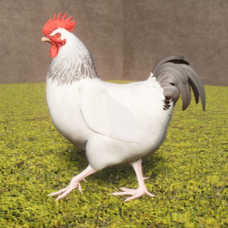 A Complete List of Animals & Colours in the Planet Zoo Barnyard Pack