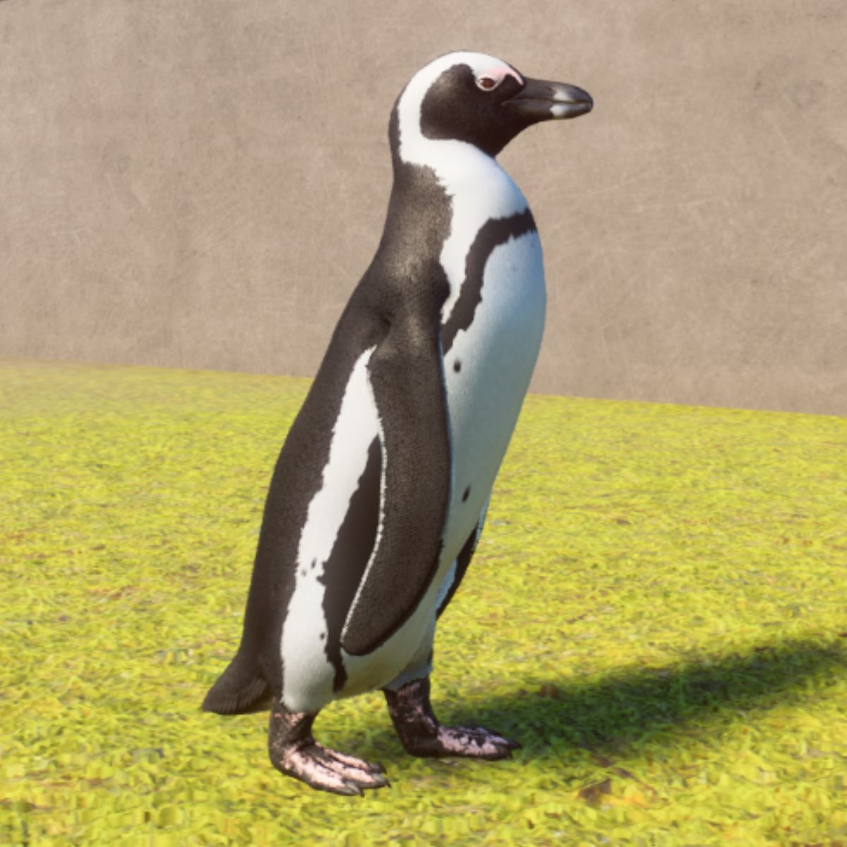 Every Animal Colour in Planet Zoo’s Africa Pack