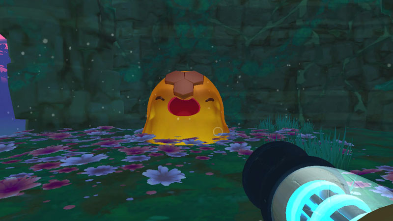 A honey gordo slime.