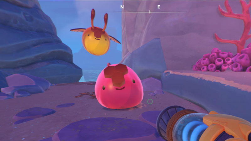 Two honey largos in Slime Rancher 2. One pink and one golden flutter.