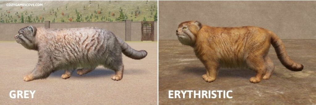 Palla's Cat colours in Planet Zoo including a special erythristic coat.