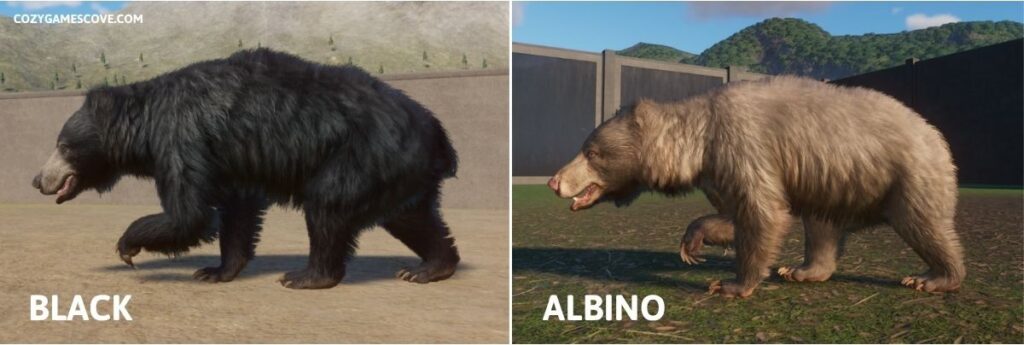 Black sloth bear and an albino sloth bear in Planet Zoo