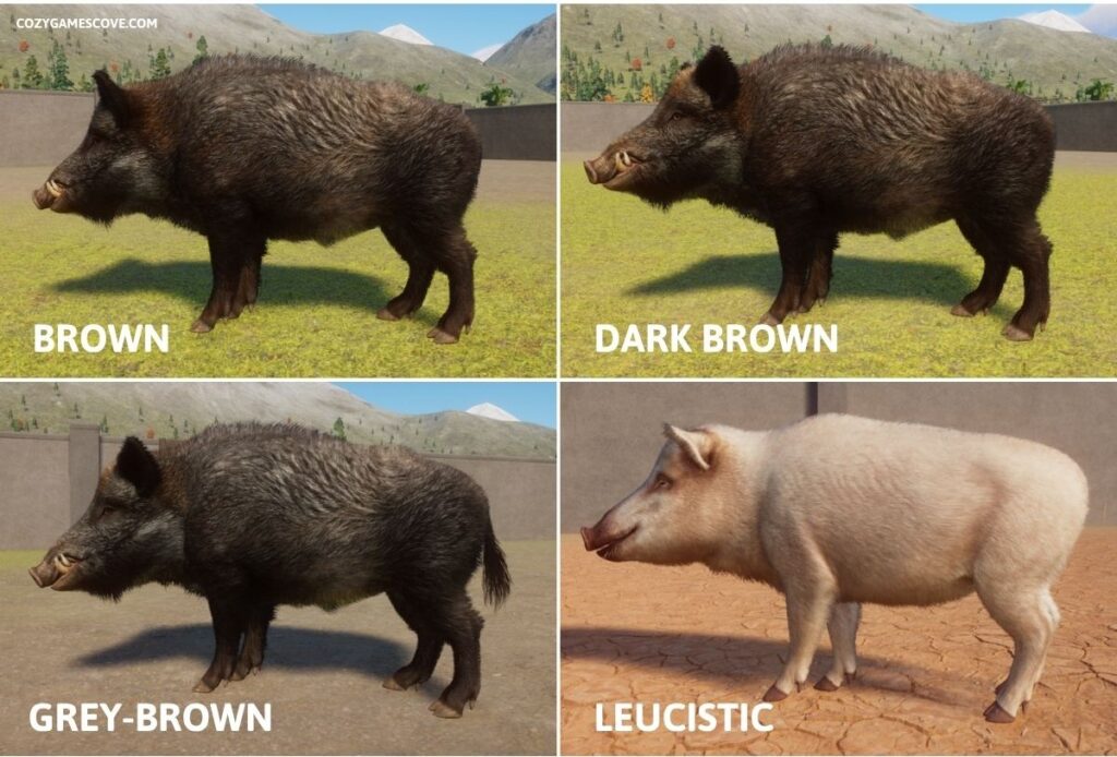 Wild boar colours in Planet Zoo