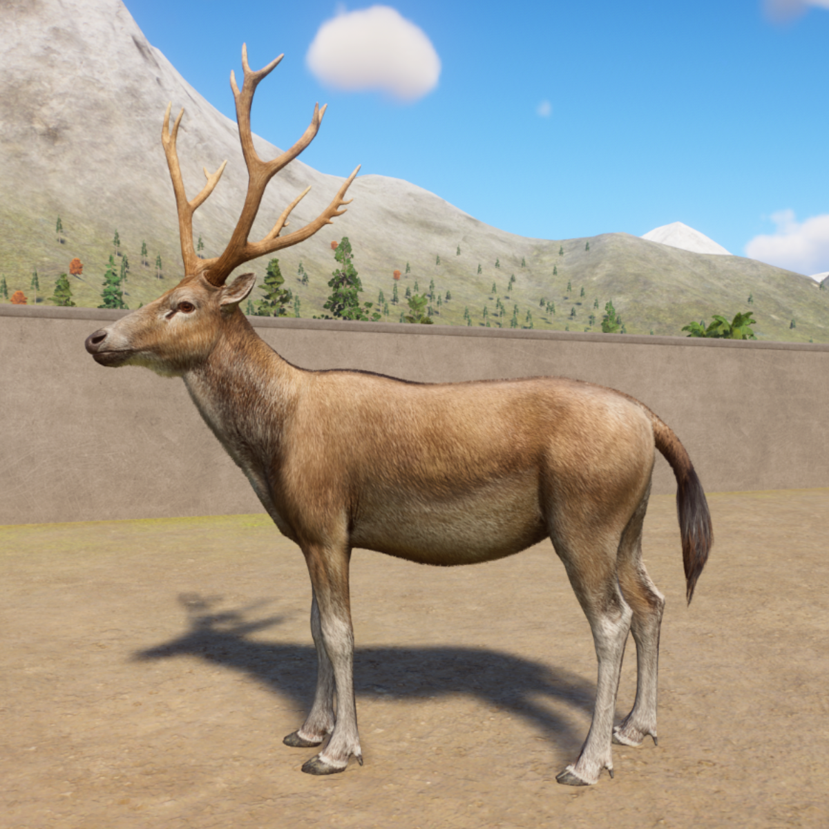 Planet Zoo Asia Animal Pack: A Complete List of Animals & Colours