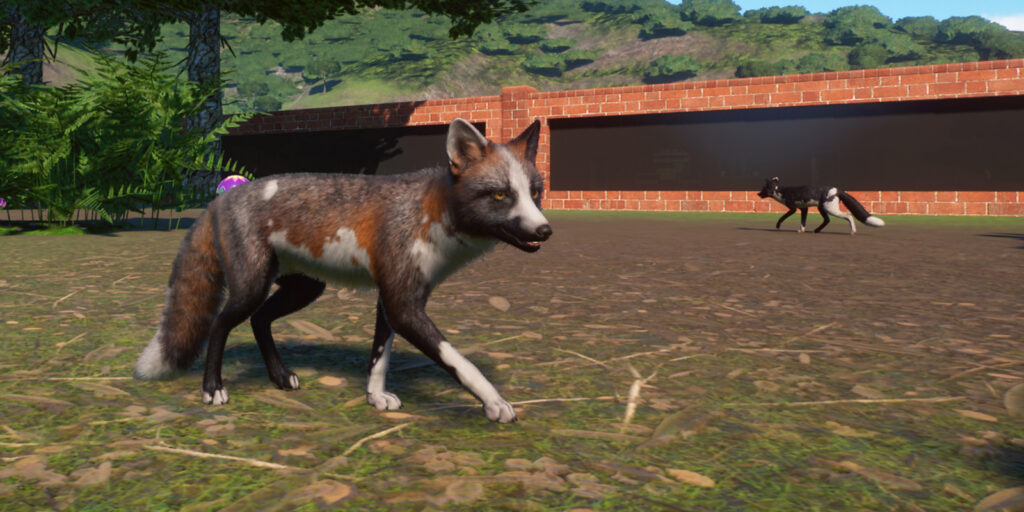 A melanistic piebald fox in tehe Planet Zoo game.