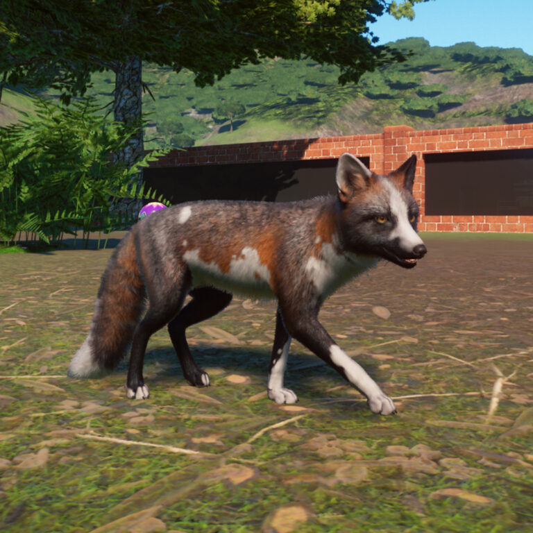 All 21 Red Fox Colours In Planet Zoo And How To Get Them