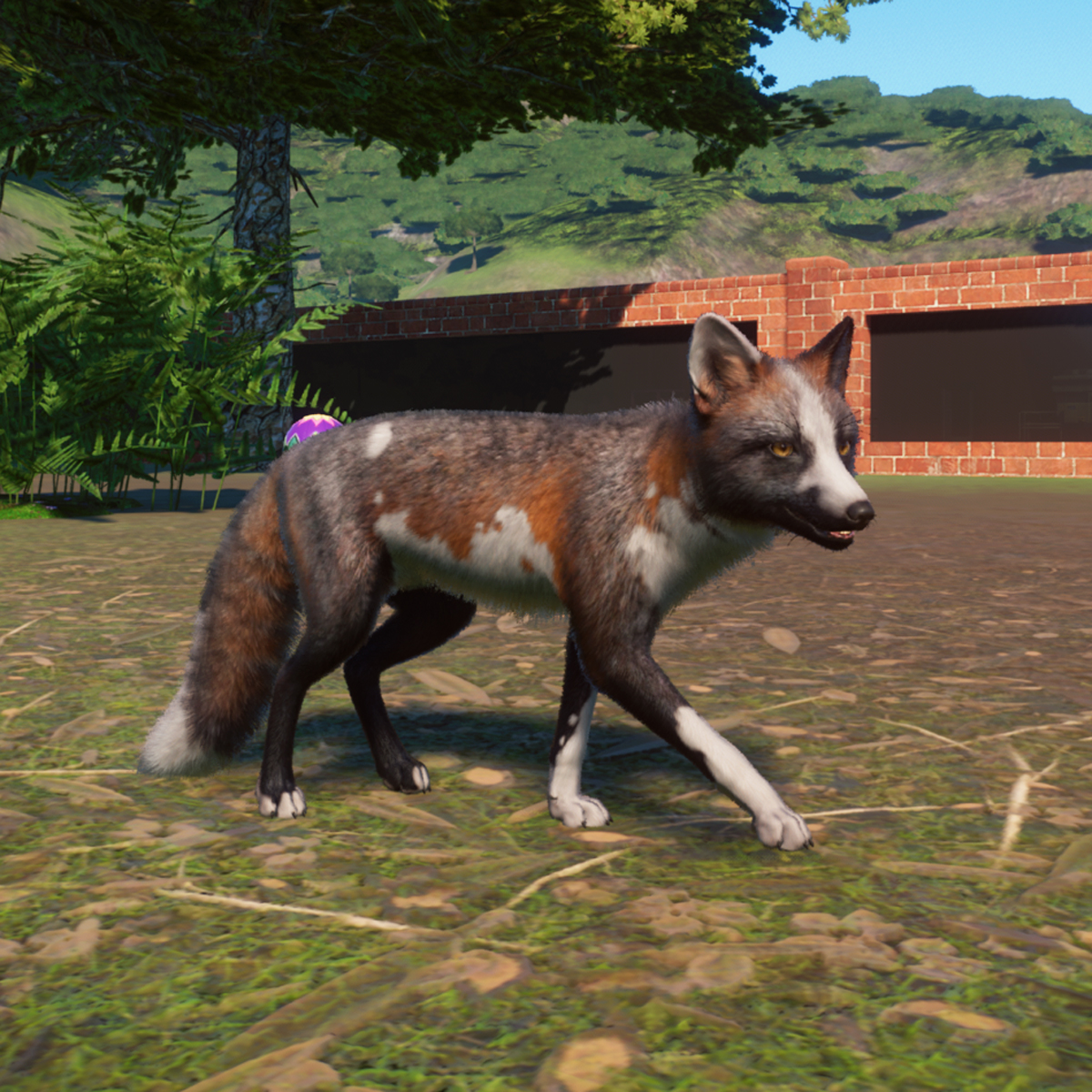 All 21 Red Fox Colours In Planet Zoo And How To Get Them